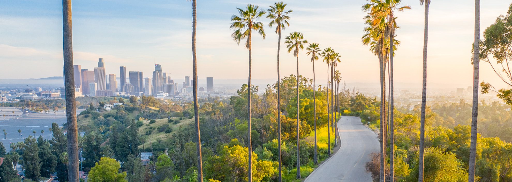 Aerial image of palm tree lined road leading to city 